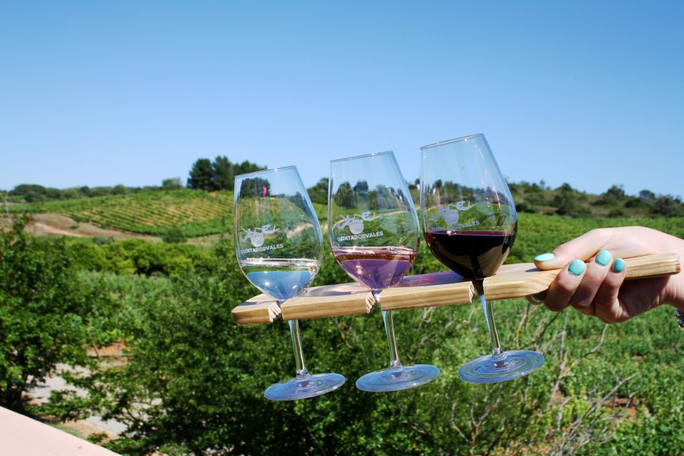 Algarve: 3 Types of Wine Tastings With Vineyard Views - Customer Reviews