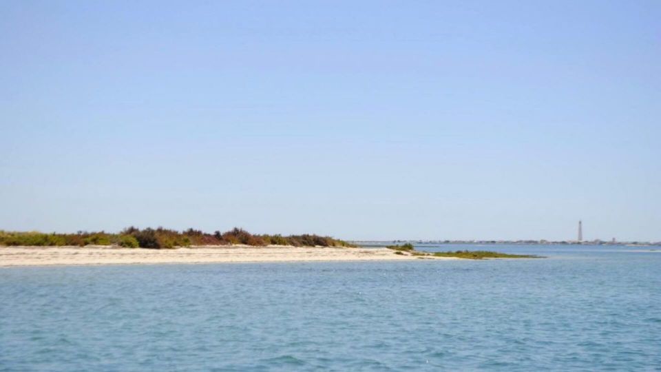 Algarve: Eco Boat Tour in the Ria Formosa Lagoon From Faro - Important Restrictions and Guidelines