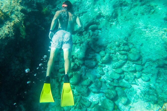 All Day Adventure With a Beach BBQ Feast From Providenciales - Guest Reviews and Ratings