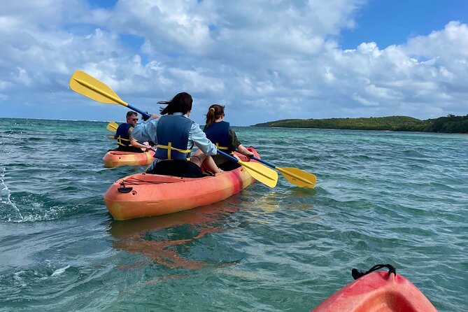 All Day Kayak Rental in Puerto Rico - Booking Information