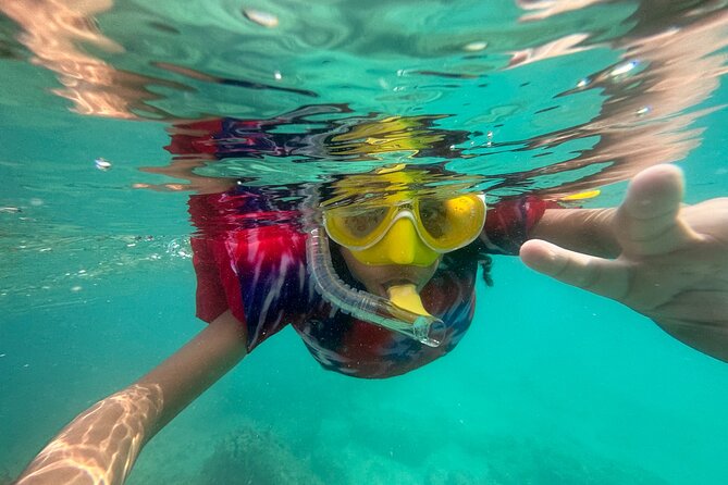 All Day Snorkeling Gear Rental in Puerto Rico - Customer Reviews and Ratings