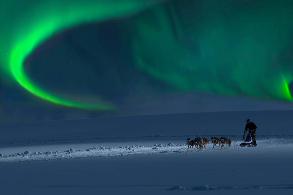 Alta: Dog Sledding Trip Under the Northern Lights - Frequently Asked Questions