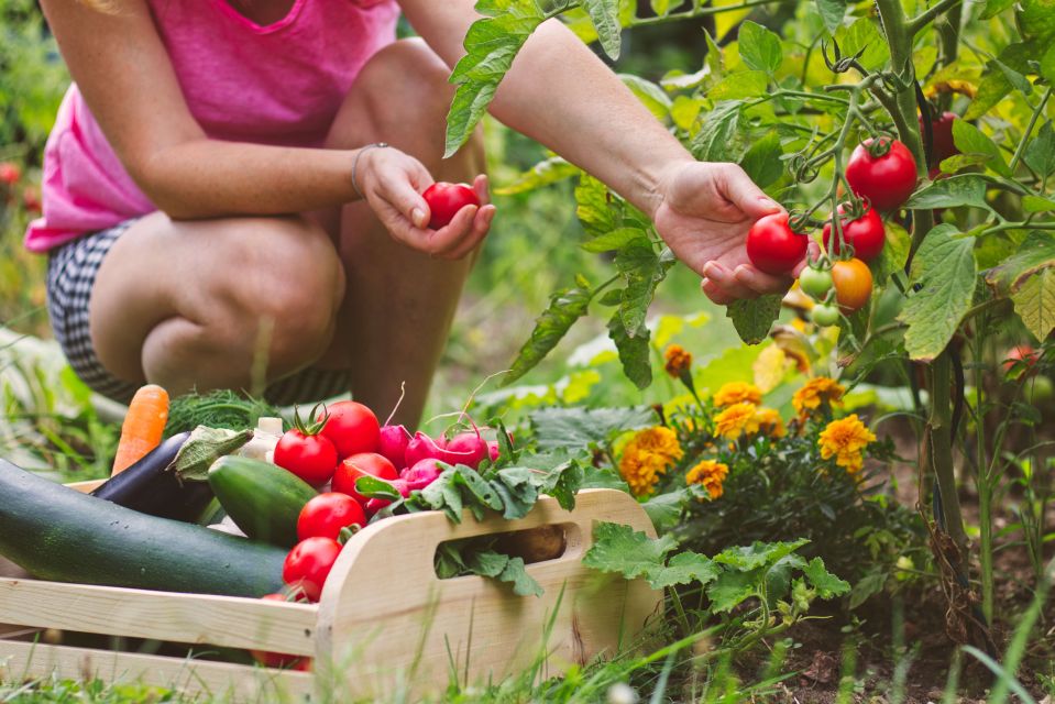 Amalfi: Cooking Class and Farmhouse Visit With Meal - Beverages and Local Specialties