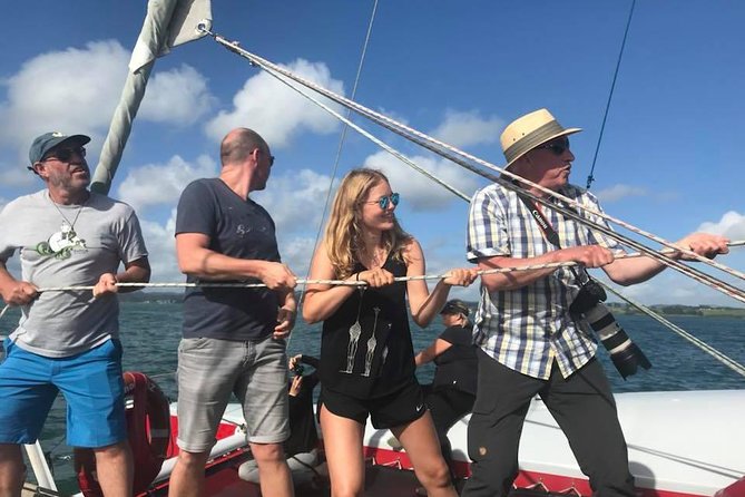 Amazing New Zealand Itineraries & Chauffeur-Driven Tours - Customer Reviews Overview