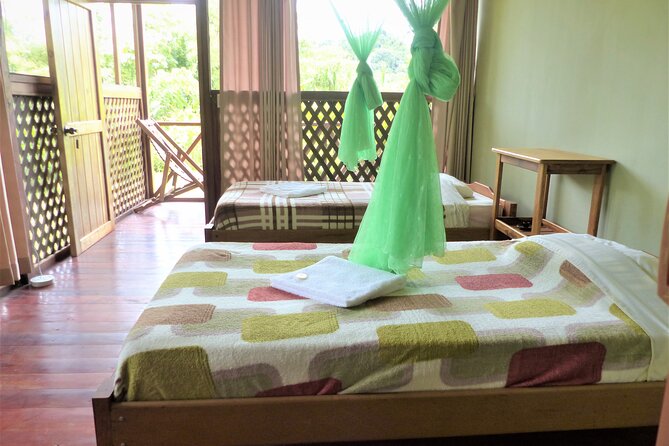 Amazon Jungle Tour 3 Days - Traveler Testimonials