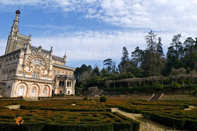 An Adventure Through the Forest and Palace of Bussaco - Coimbra - Physical Requirements for Participation