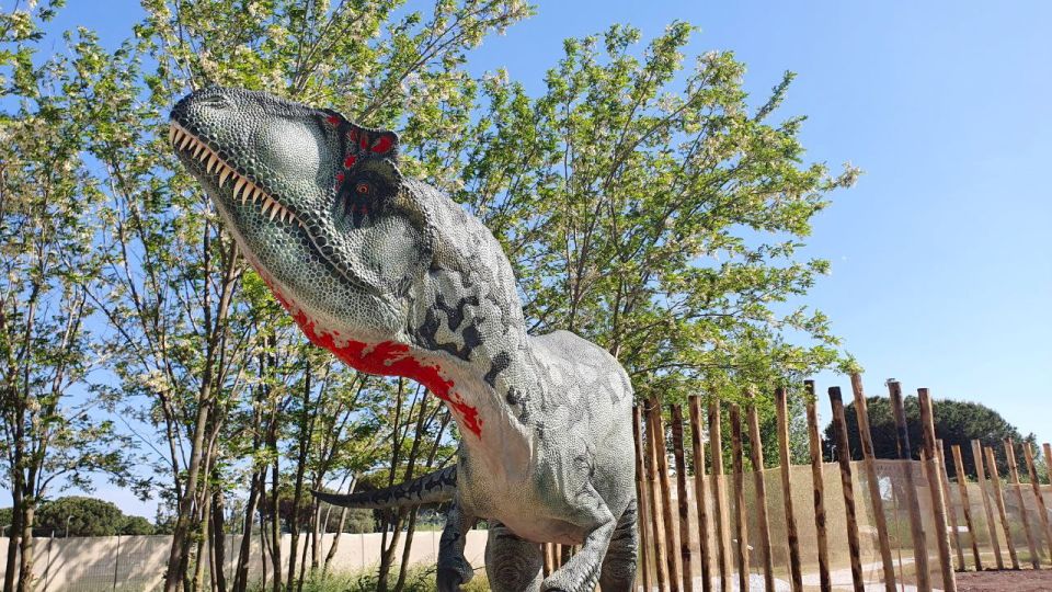 Aquarium of Cattolica Entry Ticket - Frequently Asked Questions