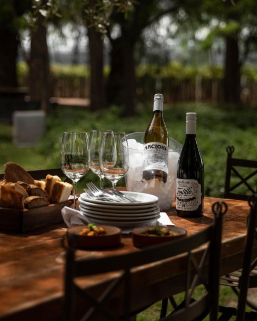 Argentine Asado + Visit 2 Wineries + Transportation Included - Customer Experiences
