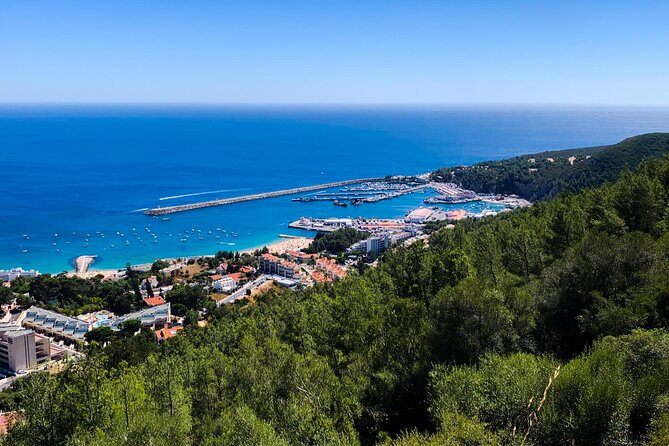 Arrábida / Olive - Traveler Reviews