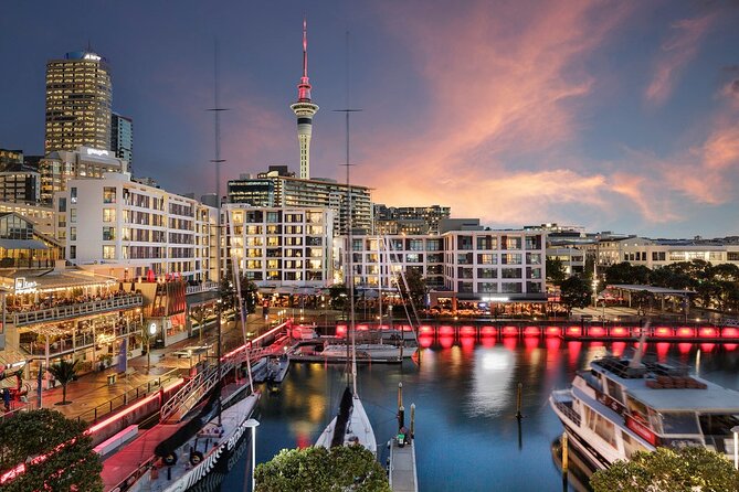 Arrival Private Transfer From Auckland Airport AKL to Auckland in Business Car - Safety and Cleanliness Measures