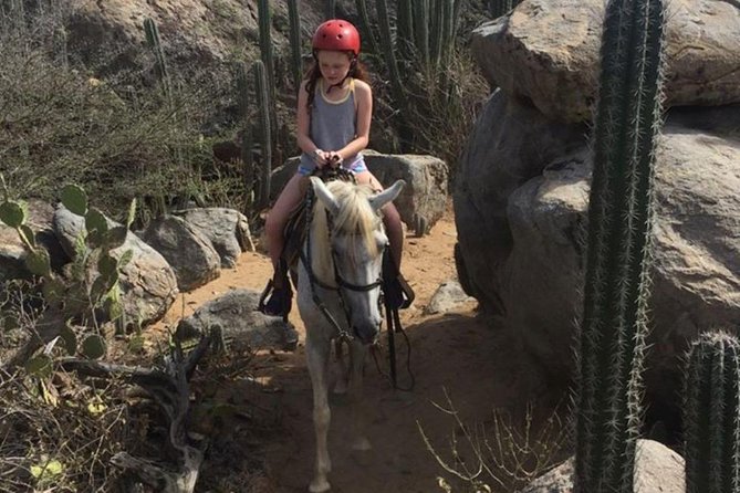 Aruba Horseback Riding Tour to Hidden Lagoon - Tips for a Great Experience