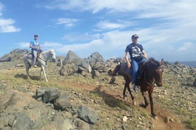 Aruba Private, 2 Hour Horseback Riding Tour For Advanced Riders - Reviews and Testimonials