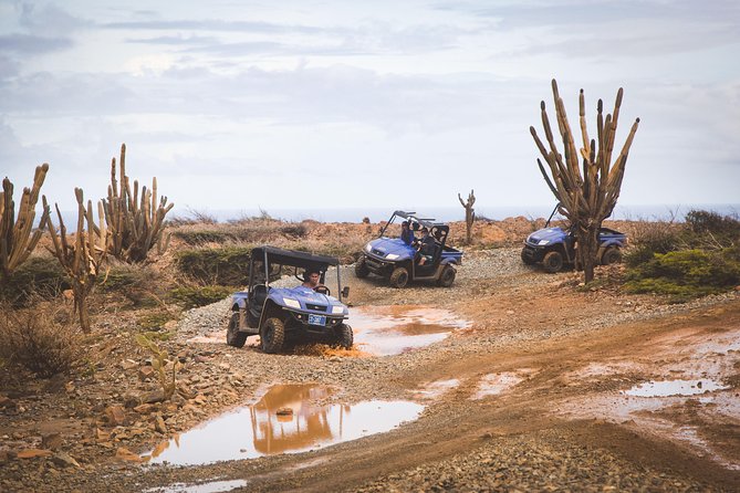 Aruba UTV Adventure Afternoon Tour - Booking Information