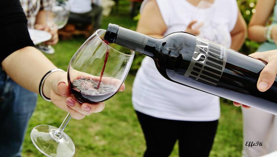Assisi: Wine Tasting, Gourmet Pairing, Walk in the Vineyards - Local Attractions