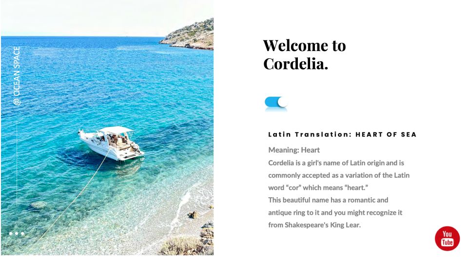 Athens: Daily Cruisers in Saronic Gulf. - Excluded Services