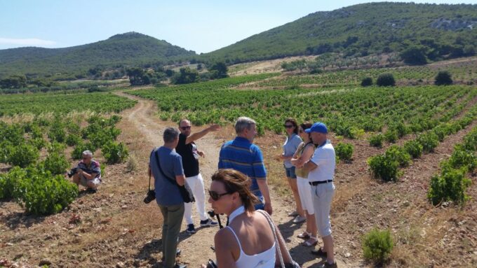 Athens: Private Wine Tour and Lunch at the Seaside - Wineries Featured in the Tour
