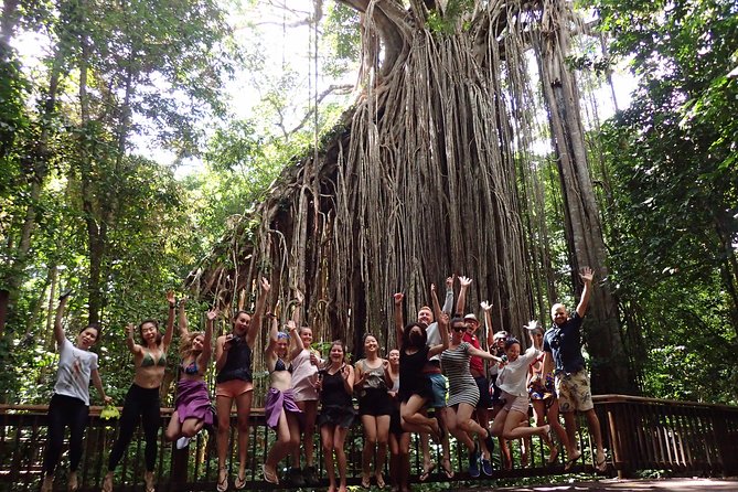 Atherton Tablelands Waterfall Adventure From Cairns - Important Information for Travelers
