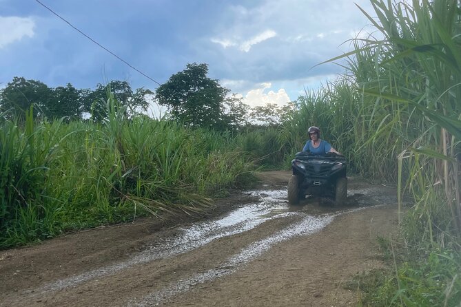 ATV Jungle Ride With Transportation From Montego Bay - Suggestions for Improvement