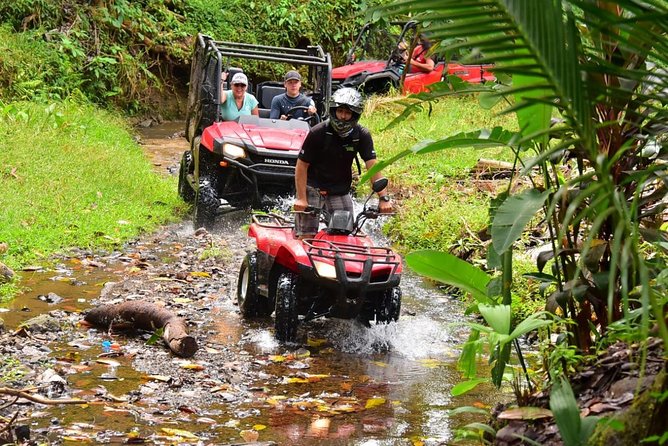 ATV River, Beach, Jungle Adventure and Crocodiles Hotspot From San Jose - Transportation Options and Recommendations