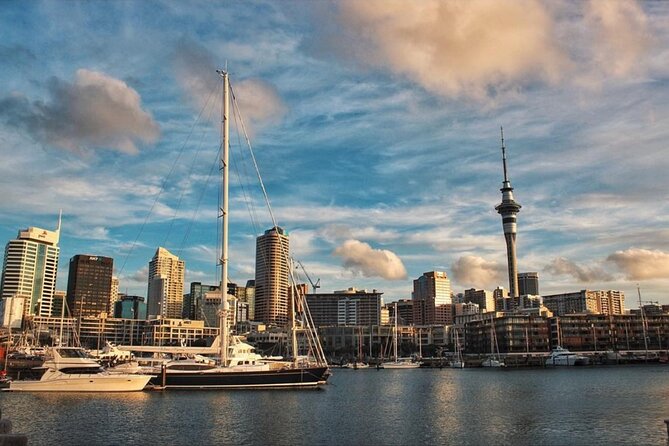 Auckland City Highlights Half Day Tour - Pricing and Booking Information
