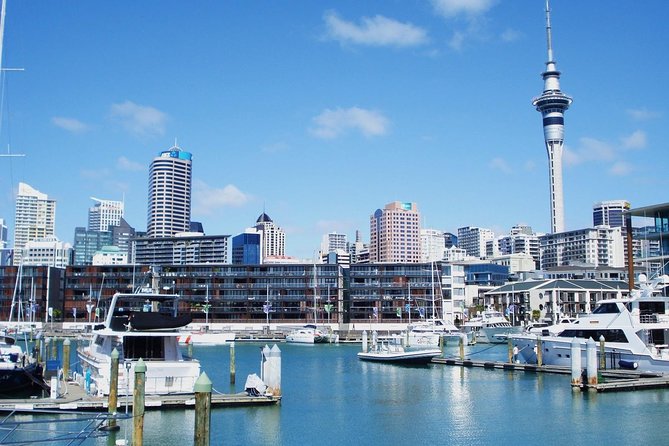 Auckland City Private Tour for Couples. Be Chauffeur Driven With Added Extras. - Customer Reviews and Feedback
