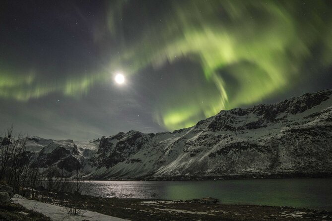 Aurora Chase With Professional Photographers (Northern Lights) - Arctic Countryside
