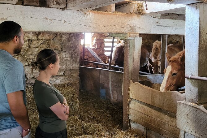 Authentic Tour & Meal With the Amish! - Accessibility and Transportation