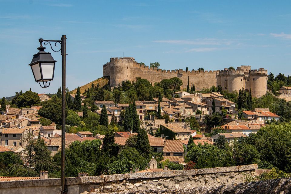 Avignon Private Guided Tour and Wine Tastings From Marseille - Tour Inclusions and Features