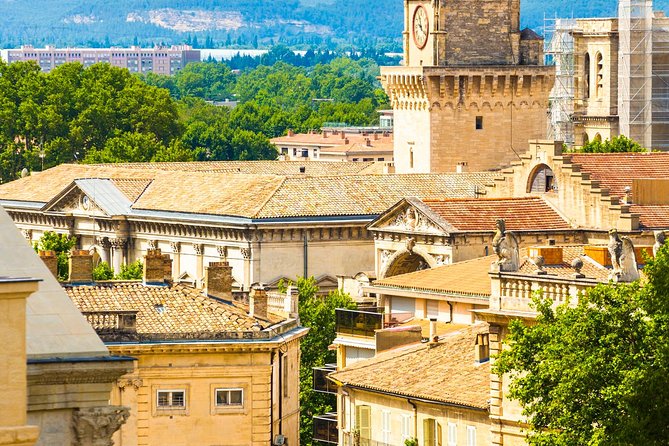 Avignon Walking Tour Including Popes Palace - Admiring Architectural Wonders