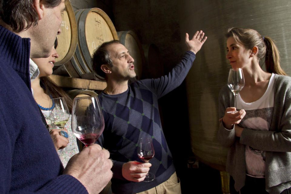 Avignon: Wine Tasting Tour - Customer Feedback