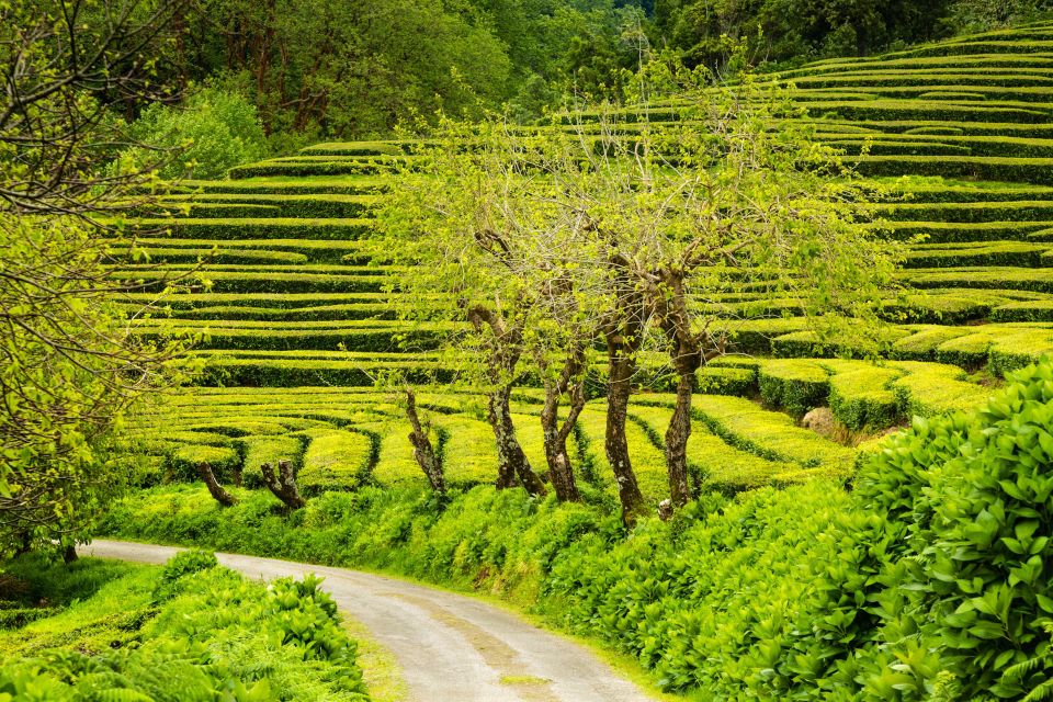 Azores: Private Tour to All São Miguel Island With Lunch - Regional Cuisine