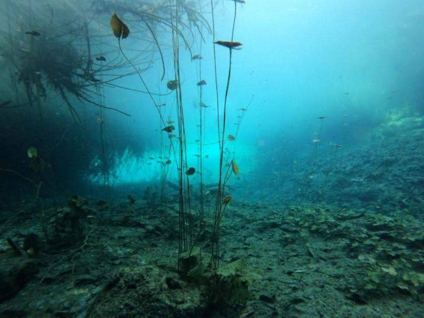 Bacalar: Magnificent Bacalar Lagoon Exclusive Boat Tour - Exploring Cenotes