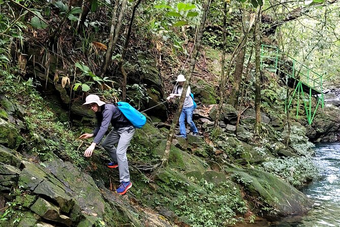 Bach Ma National Park Trekking Daily Tour From Da Nang, Hoi an - Traveler Experiences