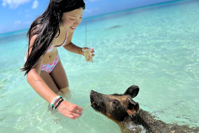 Bahamas Swimming Pigs Experience on Rose Island - Important Policies