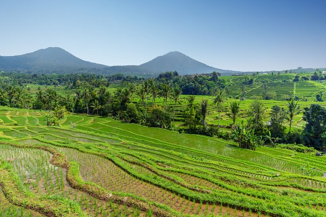 Bali Charm: Full-Day Bedugul and Tanah Lot Tour (UNESCO) - All Inclusive Tickets - Group Size and Pricing