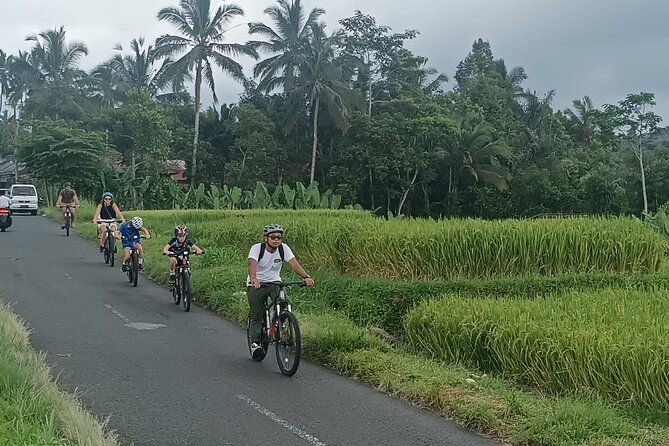Bali Downhill Natural Cycling Tour & Visit Volcano - Pricing Information