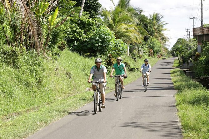 Bali Eco Cycling Tour - Additional Details