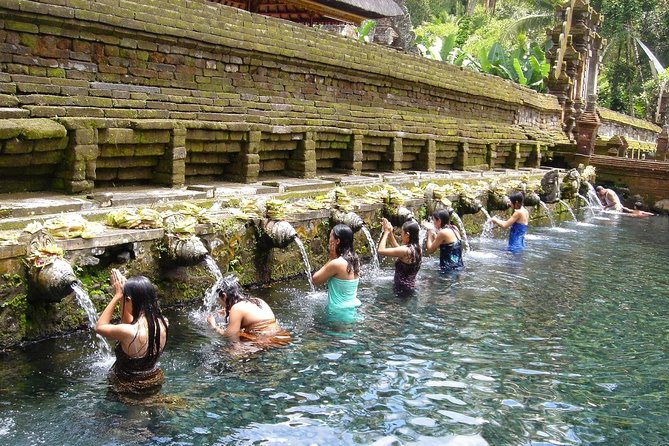 Bali Global Tour: Rice Terrace the Sacred Monkey Forest and Volcano Including Lunch - Pricing and Availability