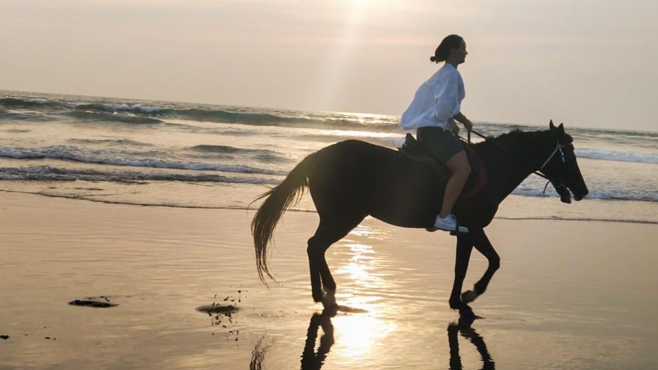 Bali: Horse Riding Tour on Seminyak Beach Include Transport - Booking Information