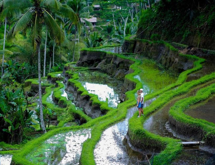 Bali: Tanah Lot, Jatiluwih Terrace, and Ulun Danu Beratan Tour - Inclusions: Whats Covered