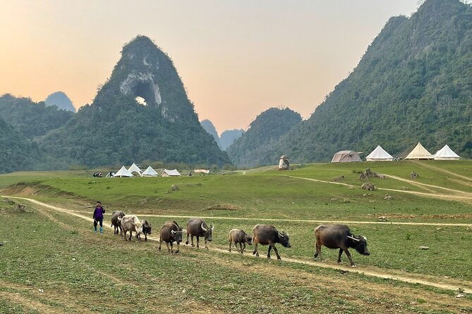 Ban Gioc Waterfall & Mt Angel Eye Full Day Trip With Easy Rider - Customer Testimonials