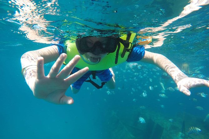 Barbados Harrisons Cave Tram Tour and Boat Cruise Snorkel Adventure - Cancellation Policy