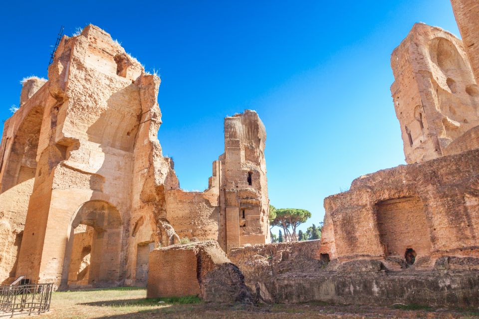 Baths of Caracalla Exclusive Private Guided Tour and Tickets - Accessibility and Group Size