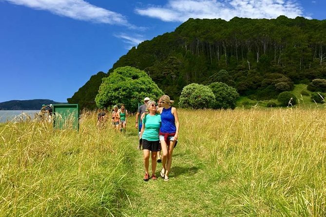 Bay of Islands Cruise & Island Tour - Snorkel, Hike,Swim,Wildlife - Wildlife Spotting Opportunities