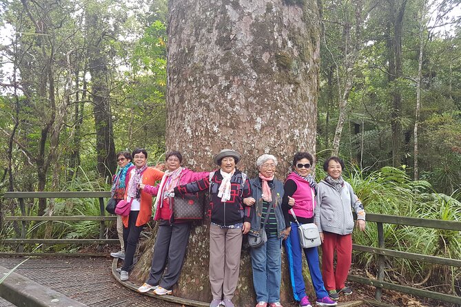 Bay of Islands Shore Excursion: Puketi Rainforest Guided Walk - Traveler Reviews and Experiences
