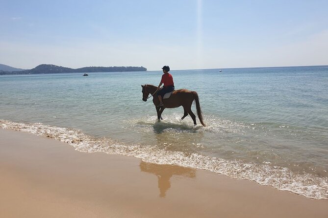 Beach Horse Riding Activity in Phuket - Tips for First-Time Riders