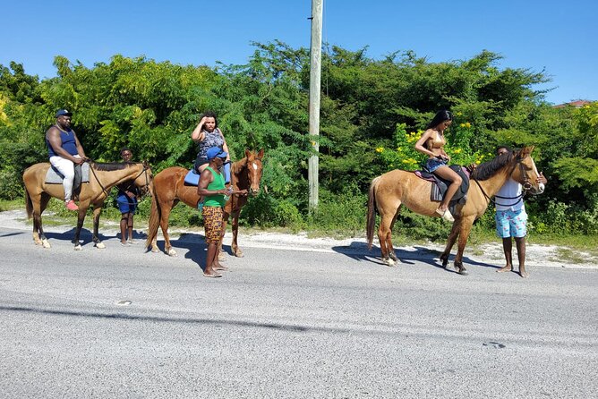 Beach Trail and Swim. Cockburn Town, Grand Turk, Turks and Caicos - Customer Support Details