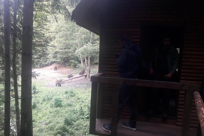 Bear Watching in the Wild From Brasov - Nearby Attractions in Brasov