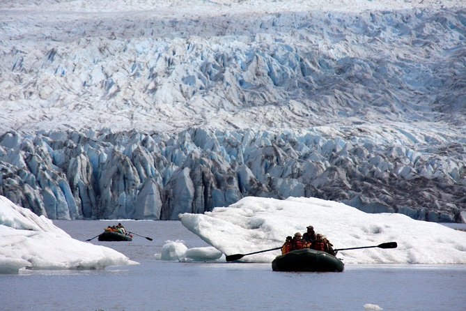 Bears, Trains & Icebergs Tour - Wildlife Sightings and Experiences