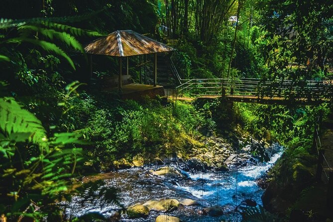 Bedugul and Singaraja Tour - Pricing and Payment Options